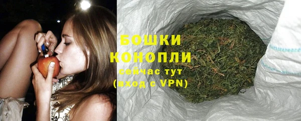Альфа ПВП Медногорск