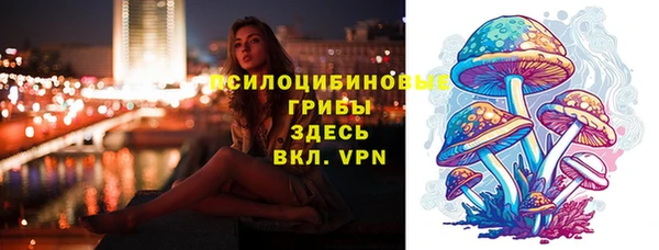 Альфа ПВП Медногорск