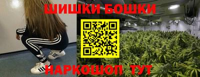 гашик Жуковский