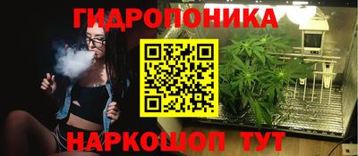 гашик Жуковский