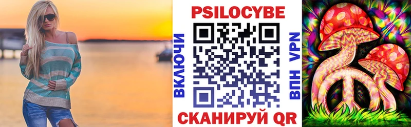 Псилоцибиновые грибы Psilocybe хочу Коряжма