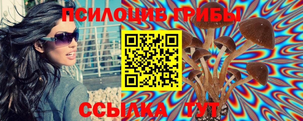 Псилоцибиновые грибы Psilocybine cubensis Коряжма