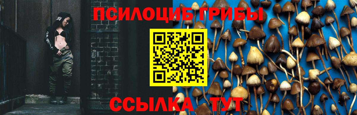 Псилоцибиновые грибы Psilocybe  Вход с VPN  Коряжма  Галлюциногенные грибы мухоморы 